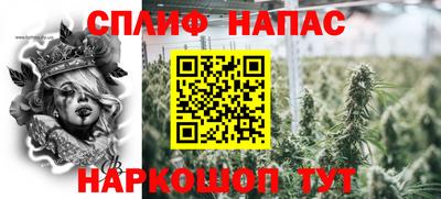 ECSTASY Аргун