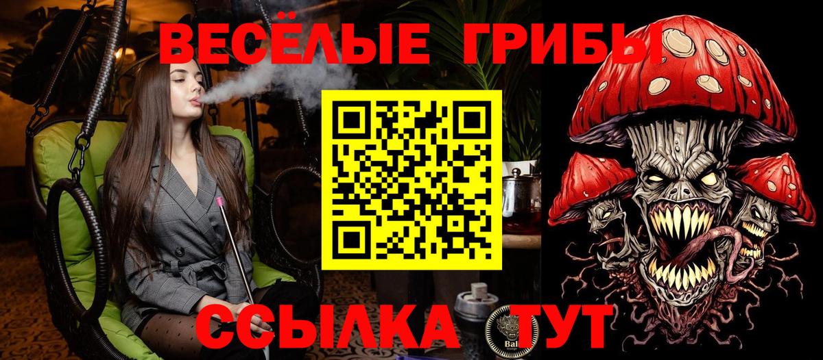 Галлюциногенные грибы мухоморы Артёмовский