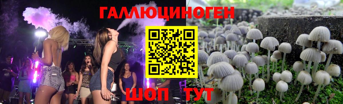 Псилоцибиновые грибы мухоморы  Артёмовский  Псилоцибиновые грибы Cubensis 