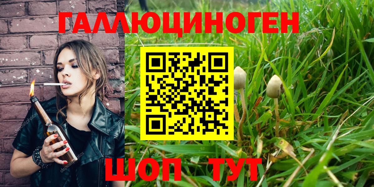Галлюциногенные грибы Magic Shrooms  Вход с VPN  Артёмовский 